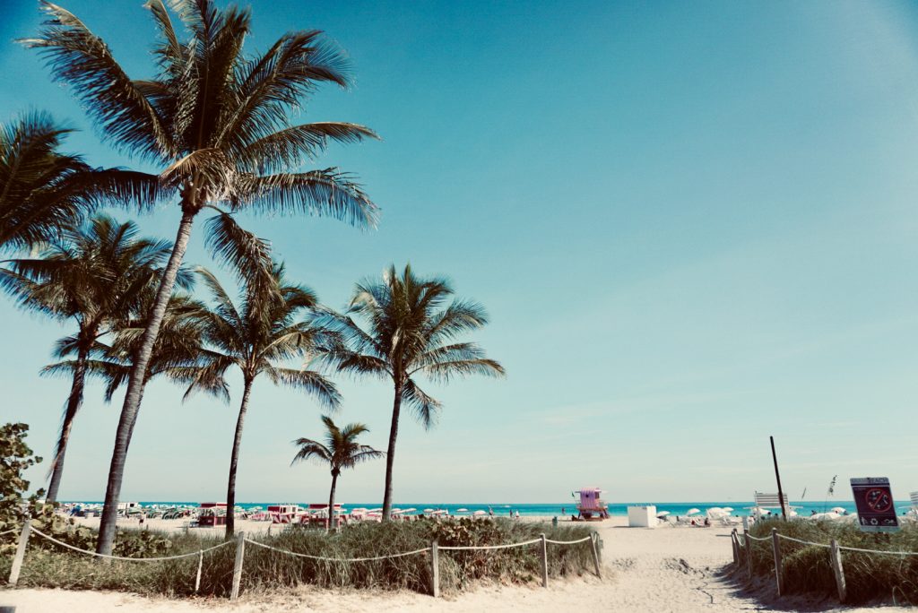Roze huisje op miami beach met palmbomen